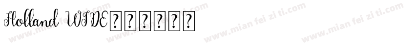 Holland WIDE字体转换